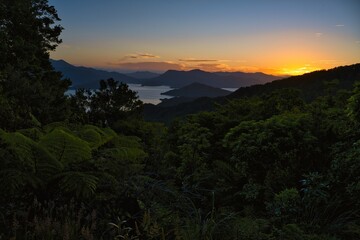 Sunset overlooking Nikau Cove, Marlborough Sounds, New Zealand