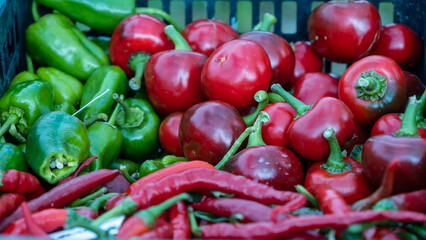 Bright red and green Florida peppers at a fruit and vegetable stand at a Latvian country market.