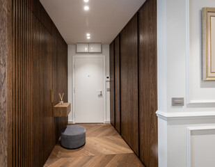 Interior of a entrance corridor in a luxury apartment