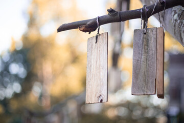 hanging object with beautiful nature and bokeh