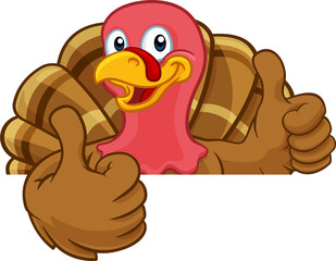 Turkey Thanksgiving or Christmas Cartoon Character
