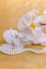 Naklejka na ściany i meble white Orchid and pearl necklace on a shiny gold background 