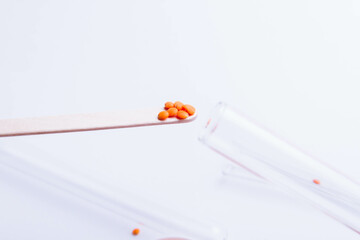 Seed diseases. Fertilizing seeds before planting. Feeding plants.