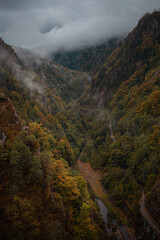 Landscape in Romania, Carpathian Mountains. Foggy morning, rainy, cloudy bad weather. Background, screensaver. Beautiful nature, peace and tourism. forest