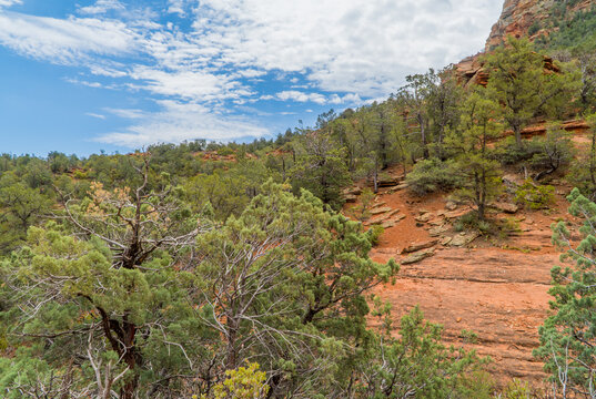 Panoramic view of rock formations and hikes in Sedona, Arizona, USA