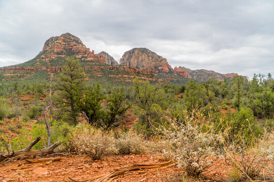 Panoramic view of amazing landscapes in Sedona, Arizona, USA