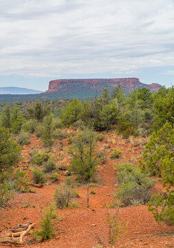 Vertical view of beautiful panorama landscapes on the Devils Bridge Hike in Sedona, AZ, USA