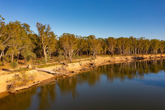 Aerial view of fallen trees along the bank of a wide dirty river