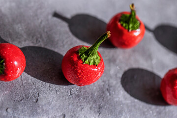 Round red chili pepper on a black background. Sharp taste of Mexican spices. 