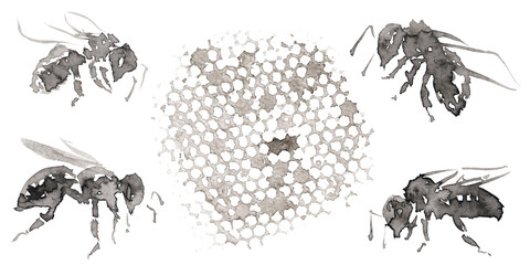 Set 15 with five differents forms bee and honeycomb texture pictures isolated on white.  Hand drawn chinese ink on paper textures. Raster