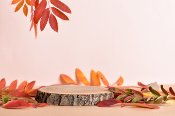 Autumn podium made of natural wood and autumn foliage.