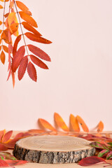 Autumn podium made of natural wood and autumn foliage.