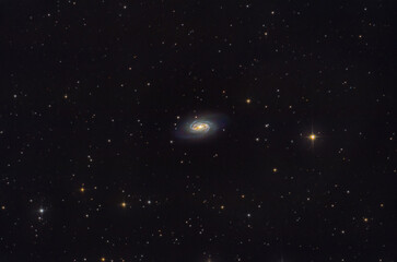 Obraz na płótnie Canvas NGC2903 