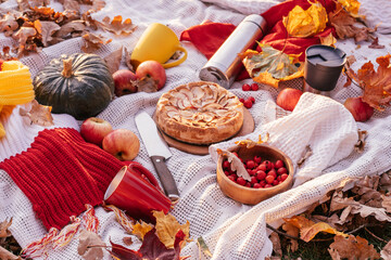 Autumn picnic in nature. Plaid with apple pie, cups of red and yellow color, thermos, hawthorn berries, pumpkin, apples, autumn fallen leaves. Last warm sunny days outside