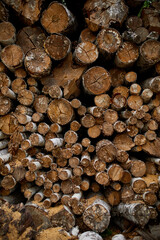 Dry chopped, sawn wooden logs wooden pole texture, lumber or timber industry concept