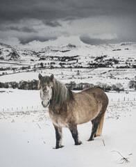 Great Mell Fell