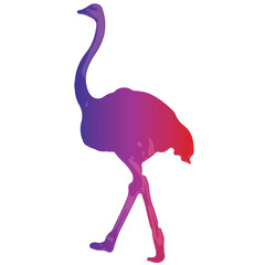 Ostrich gradient style silhouette color