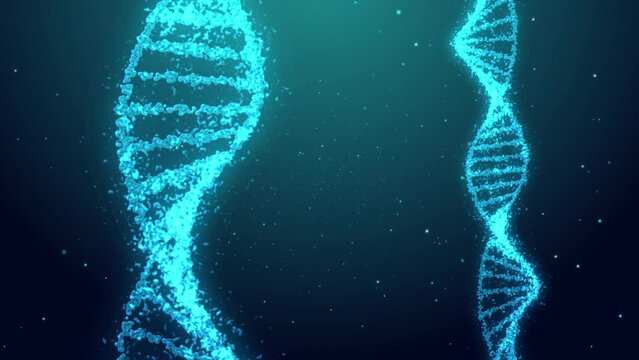 DNA helix