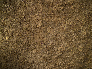 Brown color rough cement wall background texture.
