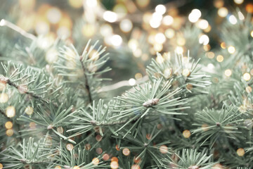 christmas tree branches with golden bokeh lights