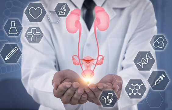 Doctor holding virtual image of urinary system and different icons, closeup