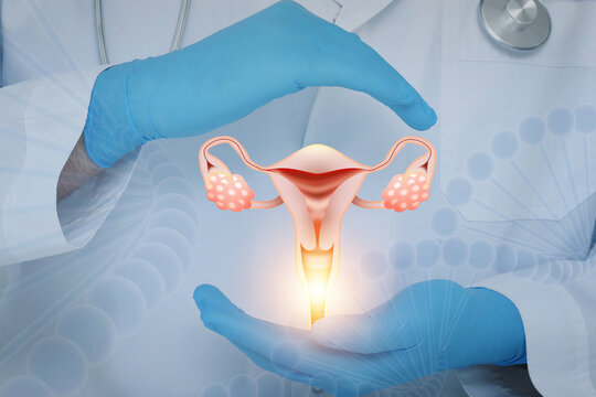 Doctor holding virtual image of uterus, closeup