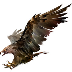 eagle in flight - 532403502