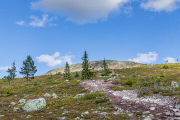 Idre, Sweden: hiking trail in the mountains