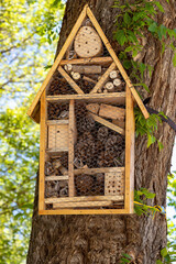 Insect hotel. This insect hotel is a tool for integrated pest control. With it, shelter is given to...