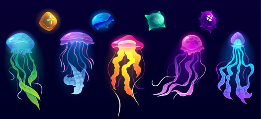 Jellyfish underwater animals, colorful jelly fish deep ocean creatures with long poisonous tentacles isolated set. Tropical medusa aquatic wildlife, beautidul sea life, Cartoon vector illustration © klyaksun