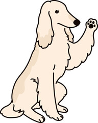 Simple and adorable Afghan Hound illustration handshake