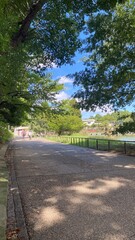 Obraz premium Empty sidewalk at Shinobazu pond of Ueno, the urban resting spot in the downtown Tokyo year around 2022