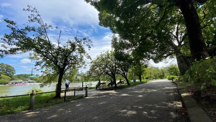  Beautiful scenery of people resting at the bench beside the pond of Ueno “Shinobazu” pond, year around 2022
