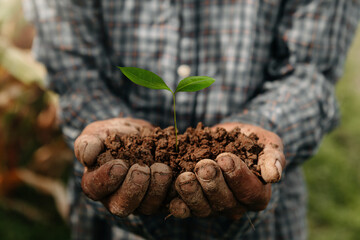 Man hands grabbing earth with a plant.The concept of farming and business growth.