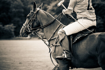 Lady Polo Player At Kirtlington Park