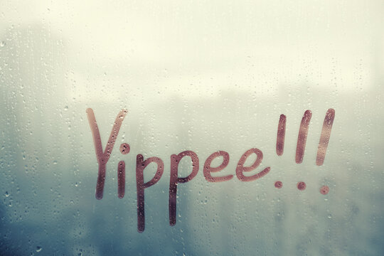 It Raining Yipee รูปภาพYippee – เลือกดูภาพถ่ายสต็อก เวกเตอร์ และวิดีโอ234 | Adobe Stock