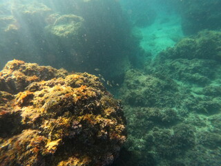 Fototapeta premium Calella de Palafrugell, Gerona, Catalunya, España 