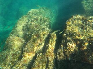Calella de Palafrugell, Gerona, Catalunya, España
