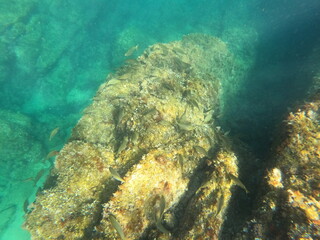 Calella de Palafrugell, Gerona, Catalunya, España
