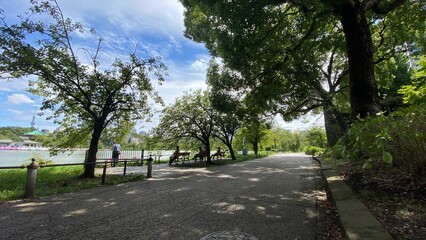 Fototapeta na wymiar Beautiful scenery of people resting at the bench beside the pond of Ueno “Shinobazu” pond, year around 2022