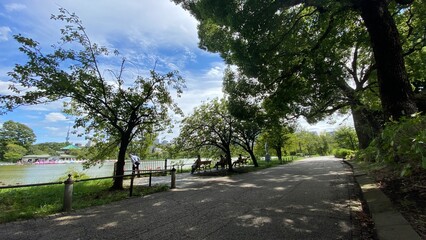  Beautiful scenery of people resting at the bench beside the pond of Ueno “Shinobazu” pond, year around 2022