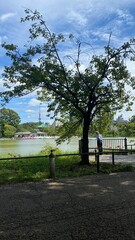  Beautiful scenery of people resting at the bench beside the pond of Ueno “Shinobazu” pond, year around 2022