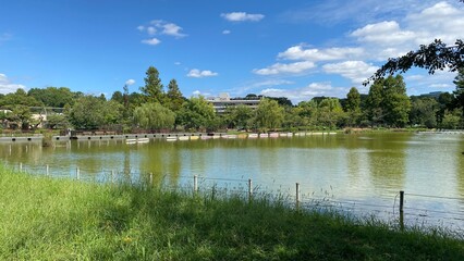 Calm and peaceful pond in Ueno, “Shinobazu” pond, with fresh grass and moss green waters with duck boats and living animals, the urban city scene around year 2022