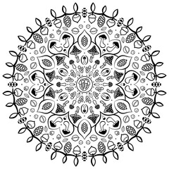 Mandala Mushrooms and Nuts