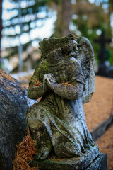 Przemyśl - Cmentarz © Jarek Rymarz