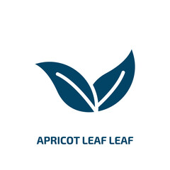 apricot leaf leaf icon from nature collection. Filled apricot leaf leaf, fruit, leaf glyph icons isolated on white background. Black vector apricot leaf leaf sign, symbol for web design and mobile