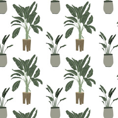 Trendy prints plants in flat style. The modern style is perfect for decor. Boho home plants - pattern on white background.