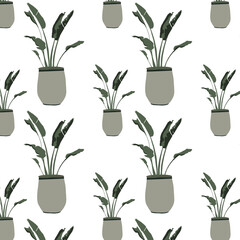 Fototapeta na wymiar Trendy prints plants in flat style. The modern style is perfect for decor. Boho home plants - pattern on white background.