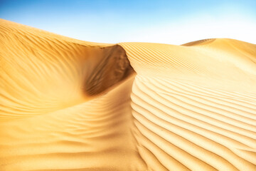 Reliefs in sand of the desert Wahiba Sands in Oman.