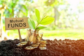 Investment on Mutual Funds concept. Coins in a jar with soil and growing plant in nature background. - obrazy, fototapety, plakaty